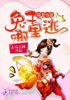 萌妻当道：兔子，哪里逃小说封面