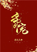 帝宠小说小说封面