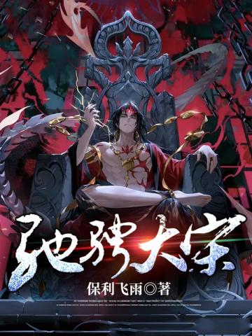 驰骋大宋小说封面