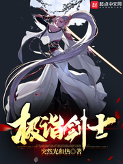 极诣剑士小说封面