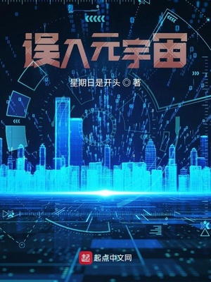 误入元宇宙小说封面