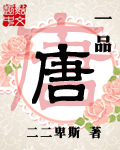 一品唐小说封面