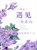 遇见一座冰山小说封面