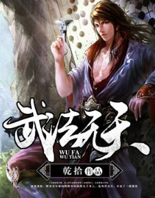 武法无天小说封面