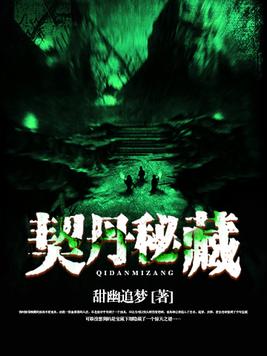 契丹秘藏小说封面