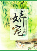 娇宠(重生)小说封面