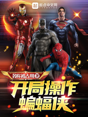 开局操作蝙蝠侠小说小说封面