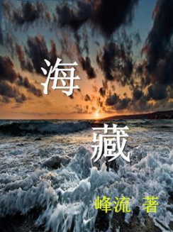 海藏小说封面