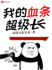 我的血条超级长小说封面
