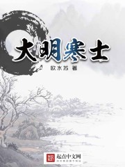 大明寒士小说封面