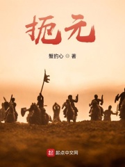 扼元小说封面