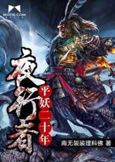 夜行者：平妖二十年小说封面