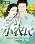 乡野小农民小说封面