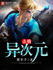 杀戮异次元小说封面
