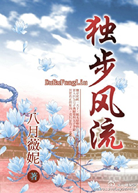 独步风流小说封面