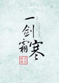 一剑霜寒小说封面