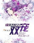 重生末世之双宠小说封面