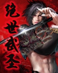 绝世武圣小说封面