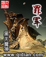 罪军小说封面