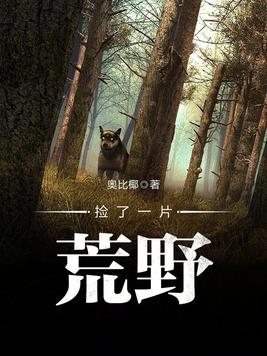 捡了一片荒野小说封面