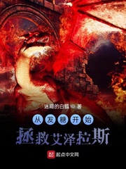 从发糖开始拯救艾泽拉斯小说封面