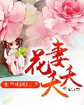 花妻夭夭小说封面
