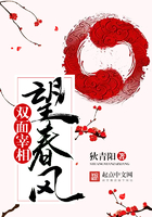 望春风：双面宰相小说封面