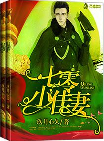 七零小佳妻小说封面