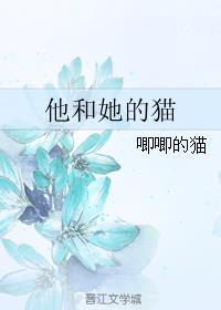 他和她的猫小说封面
