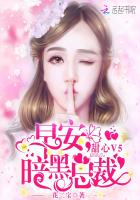 甜心V5：早安，暗黑总裁！小说封面