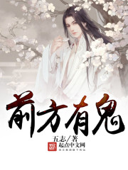 前方有鬼小说封面