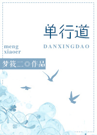 单行道小说封面
