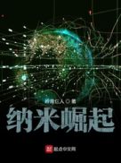 纳米崛起小说小说封面