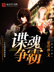 谍魂争霸小说封面