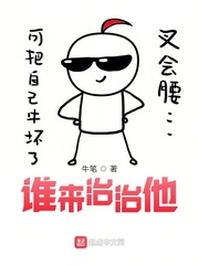谁来治治他小说封面