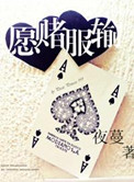愿赌服输小说封面