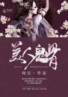 美人鬼骨小说封面