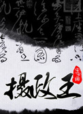 摄政王小说封面