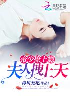 帝少撩上瘾：夫人拽上天小说封面