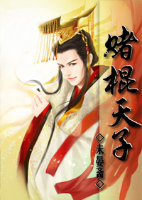 赌棍天子小说封面