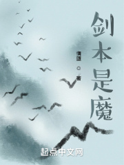 剑本是魔小说封面