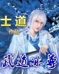 武道冰尊小说封面
