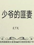 少爷的匪妻小说封面