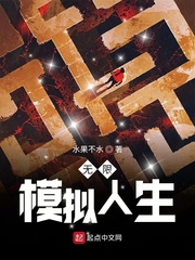 无限模拟人生小说封面