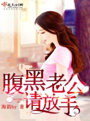 腹黑老公请放手小说封面