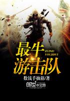 最牛游击队小说封面