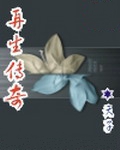再生传奇小说封面