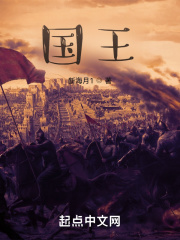 国王小说封面