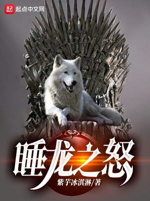 睡龙之怒小说封面
