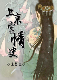 上京宫情史小说封面
